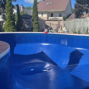 Inground Vinyl Pool Liner - Order Entry