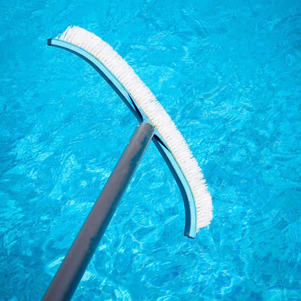 Pool Maitenance Brush